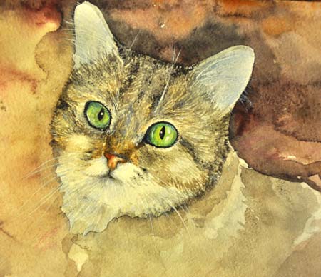 5736056_portret_of_a_cat_watercolor_6 (450x388, 32Kb)