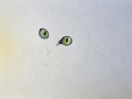 5736056_portret_of_a_cat_watercolor_1 (447x336, 34Kb)