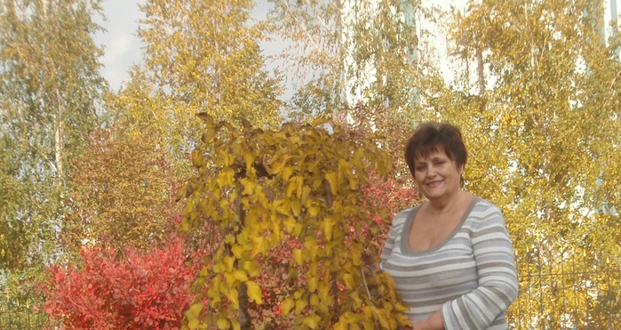 P1010319 (700x371, 181Kb)