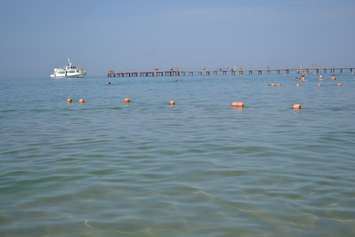 DSC_0801 (700x466, 272Kb)