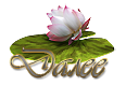 3779070_hgf (116x79, 12Kb)