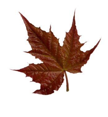 14-10-22-1 (348x376, 86Kb)