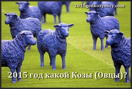 2015-god-kakoj-kozy-ovcy (550x371, 79Kb)