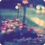 117514034_SS (150x150, 41Kb)