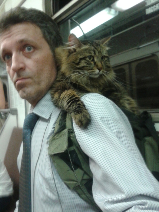 113301985_large_20140525_132922 (525x700, 132Kb)