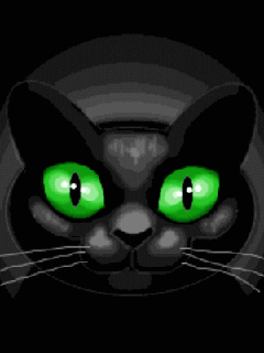 cat_flash (240x320, 21Kb)