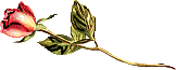 becf3c8c5348 (162x65, 3Kb)