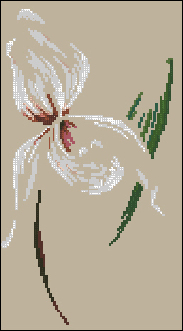 3971977_DMCOrchid (258x465, 53Kb)
