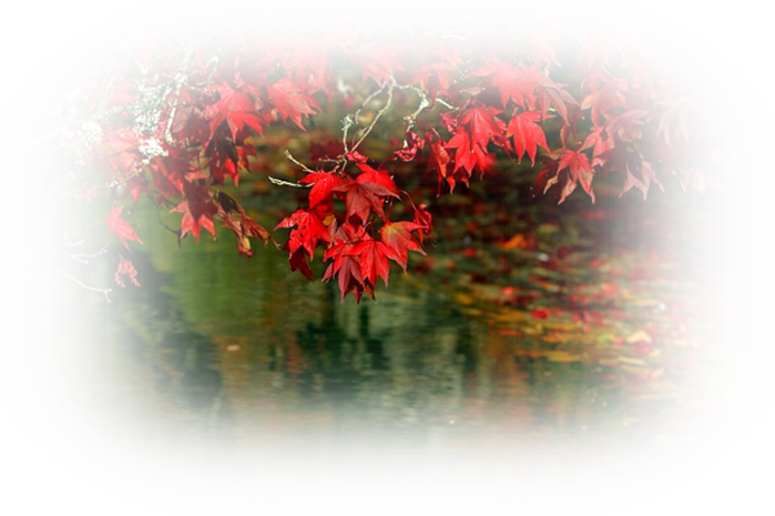 autumn-78090_640 (700x465, 584Kb)