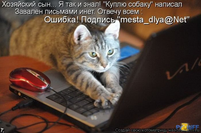 http://img0.liveinternet.ru/images/attach/c/11/117/66/117066108_1275733875_kotomatrix_2_19.jpg