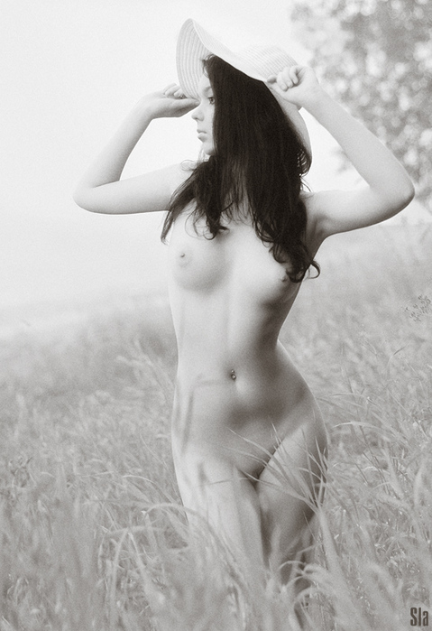 4058980_large (479x700, 146Kb)