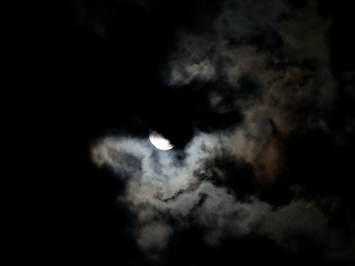 5559494_DSC08751 (700x525, 96Kb)