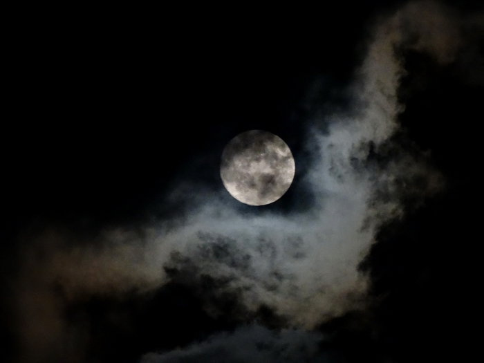 5559494_DSC08755 (700x525, 100Kb)