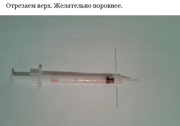 клещ3 (600x421, 84Kb)
