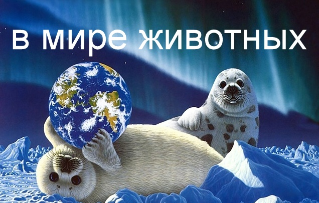 oblojka (636x405, 295Kb)