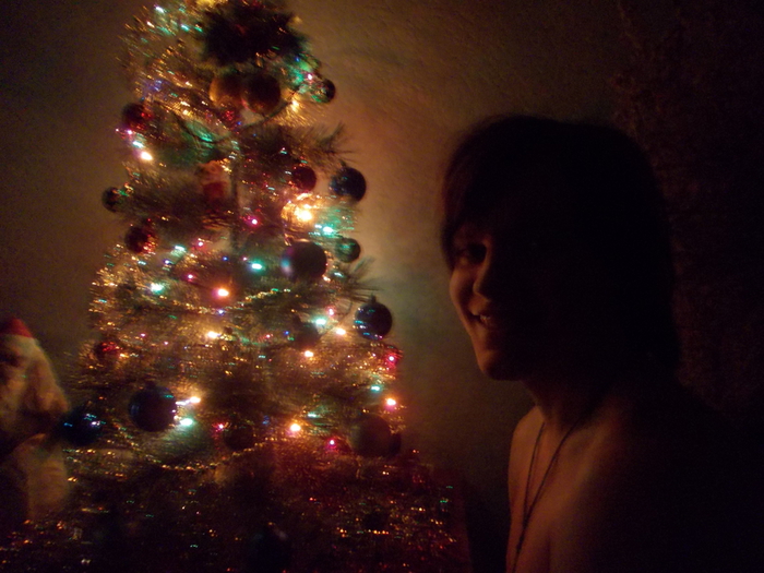 DSCN1100 (700x525, 308Kb)