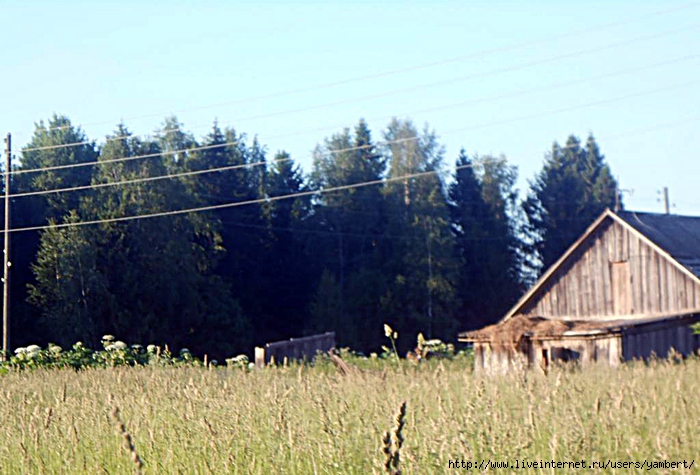 DSCN2073 (700x475, 263Kb)