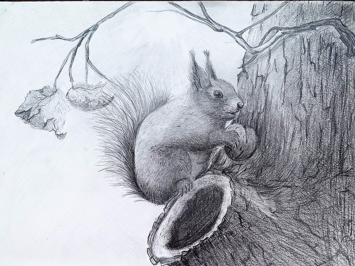 image (3) (700x525, 407Kb)