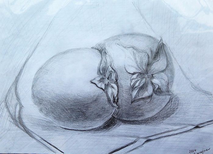 image (8) (700x504, 348Kb)