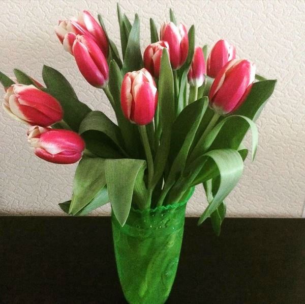 Тюльпаны на столе дома реальные фото