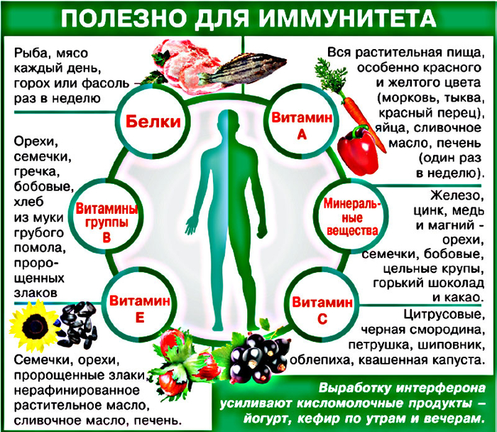 immunitet-podnimaet (700x608, 545Kb)