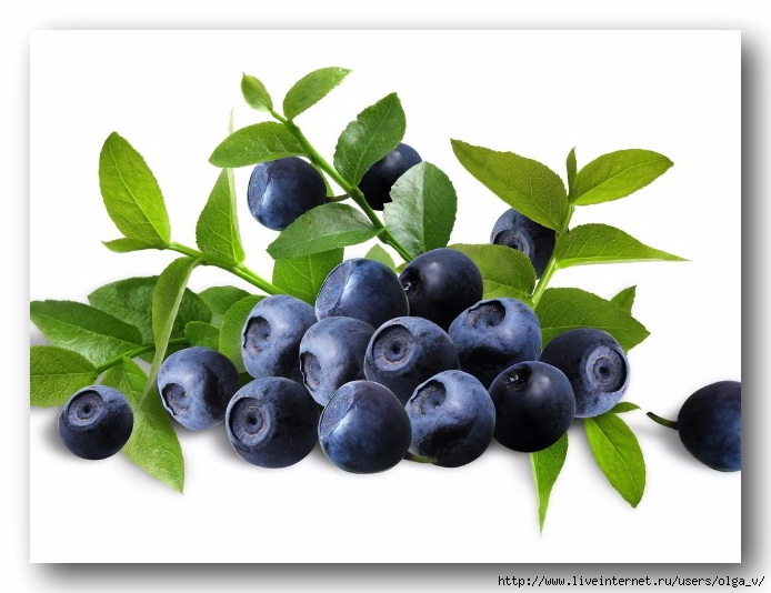 640x480_golubika-pitanie-blueberries-moschnost-power (694x534, 176Kb)