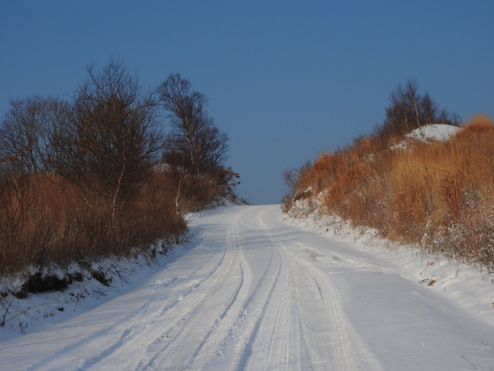 5559494_DSCN4965 (700x525, 235Kb)