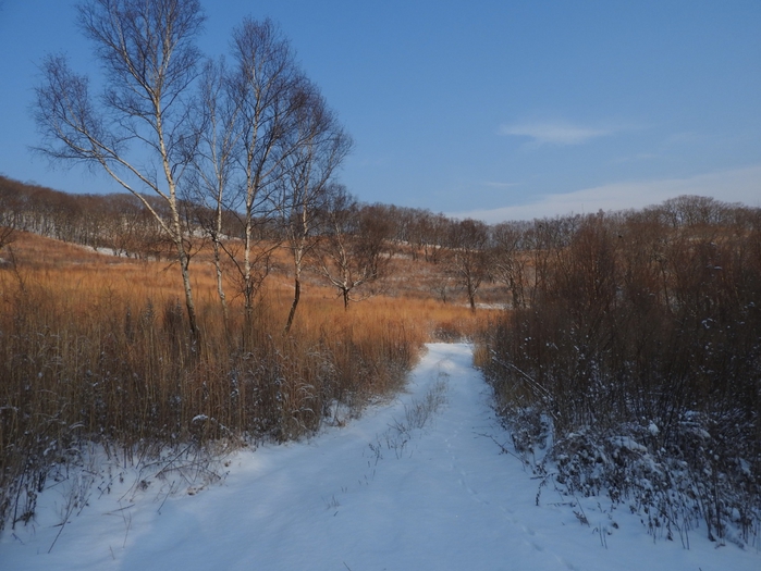5559494_DSCN4962 (700x525, 266Kb)