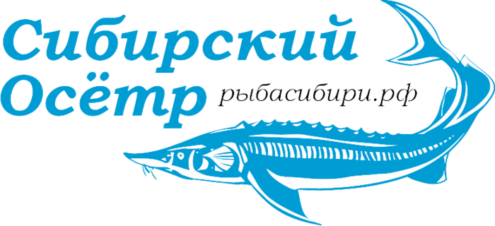 Осетр векторный рисунок