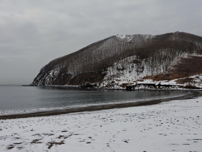 5559494_DSCN5044 (700x525, 240Kb)