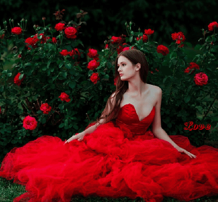 Красное платье и розы