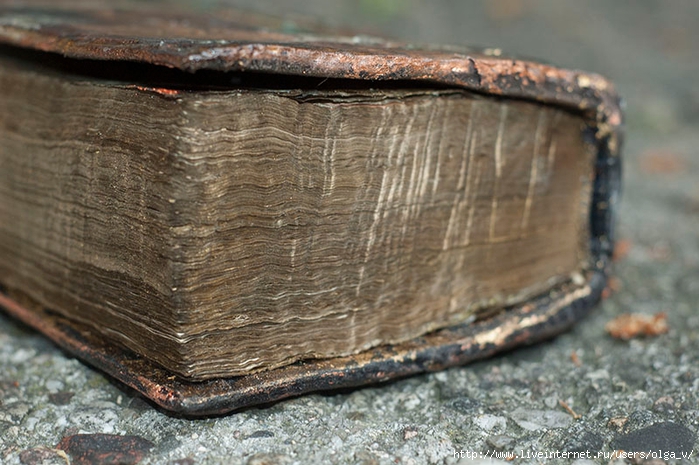 biblia26 (700x465, 270Kb)