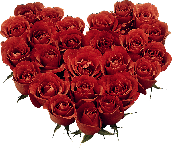 Heart_of_Roses_Clipart (600x518, 511Kb)