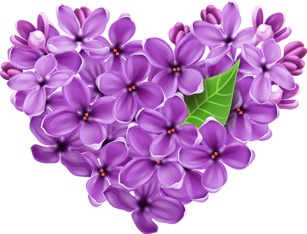 Purple_Lilac_Heart_PNG_Picture (600x458, 348Kb)