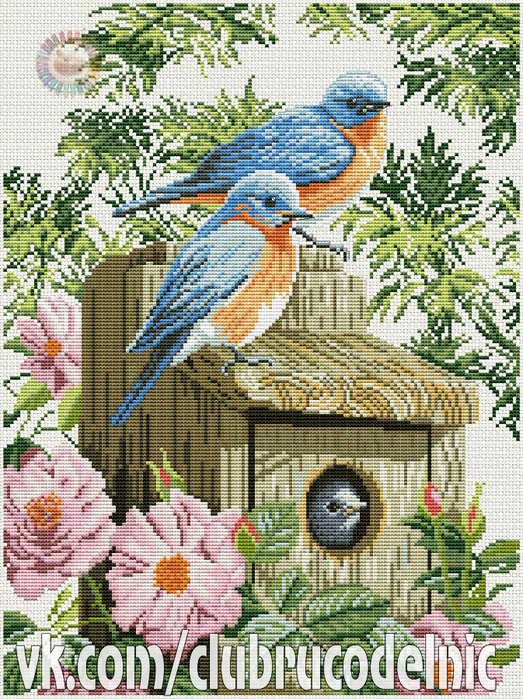 Garden blue birds (523x700, 677Kb)