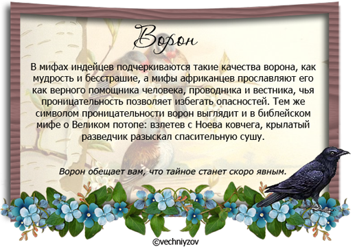 Ворон притчи. Мифы и легенды о птицах. Легенда о птице счастья. Легенда о Птичке. Красивая Легенда о птице.