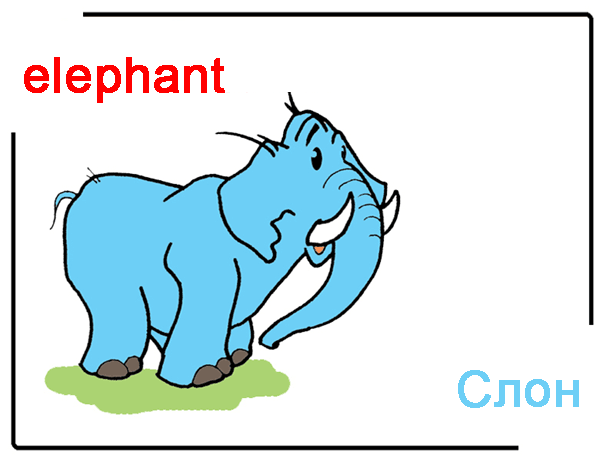 Слоновое слово