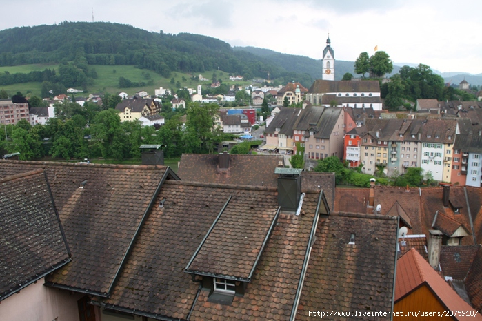 IMG_1494 (700x466, 291Kb)