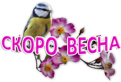 Картинки февраль с надписью скоро весна, открытка своими руками