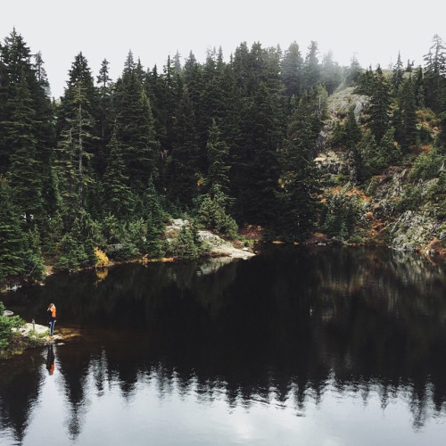 3734746_tumblr_nev2jiQ2Bs1shcqiqo1_500 (500x500, 91Kb)