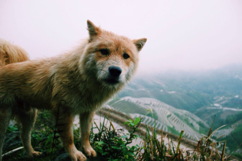 3734746_tumblr_nplpdqmZ6w1timzo1o1_500 (500x333, 53Kb)