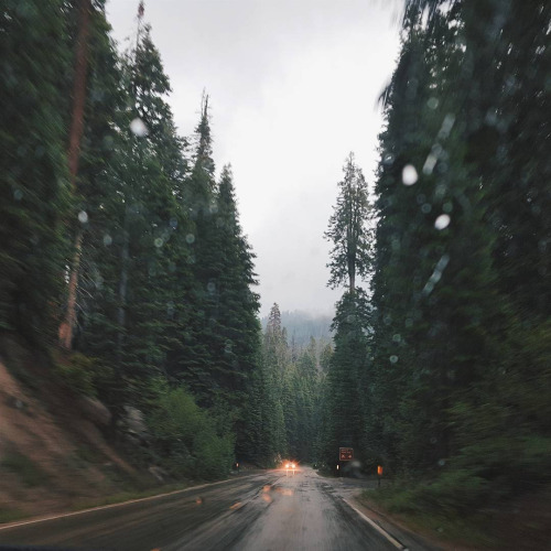 3734746_tumblr_nsldpnQXgb1qdv36to1_500 (500x500, 71Kb)