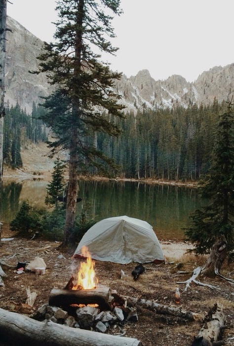 3734746_tumblr_ny2m646Zkm1ul646ro1_500 (474x700, 173Kb)