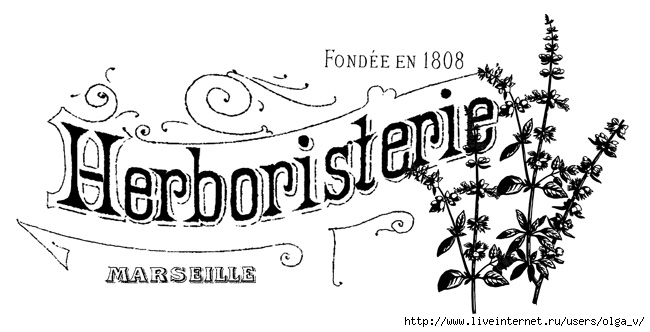 french_herb_shop_GraphicsFa (650x332, 116Kb)