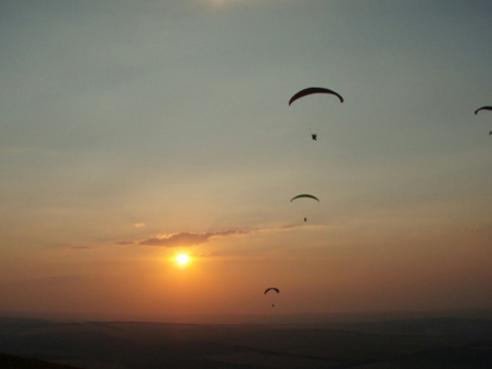 P7230615 (448x336, 112Kb)