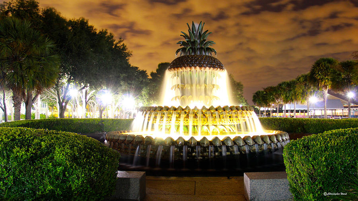 pineapple-fountait-charleston-south-carolina-v2-christopher-ward- (700x393, 438Kb)