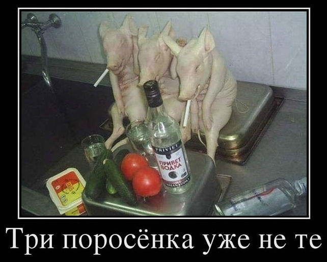 4752699_a83k (642x514, 55Kb)