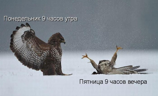 12 (639x390, 105Kb)