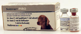 Вакцина пиродог. Пиродог вакцина. Вакцина от пироплазмоза для собак. Нобивак. Вакцина Нобивак для собак.