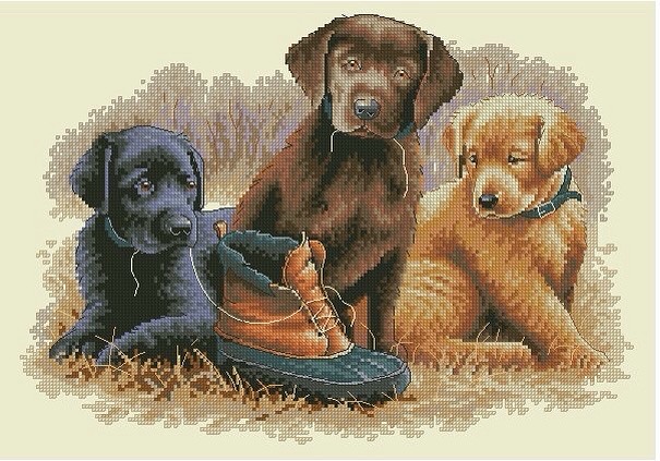 5875002_shenki1 (605x423, 98Kb)
